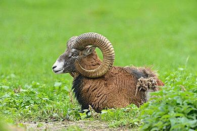 前华纳拳头开发者独立工作室Threshold现已关闭