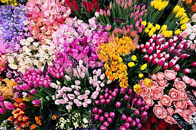 弹幕射击类肉鸽游戏《苏打队长》现已推出试玩Demo